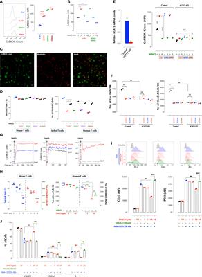 DMGV Is a Rheostat of T Cell Survival and a Potential Therapeutic for Inflammatory Diseases and Cancers